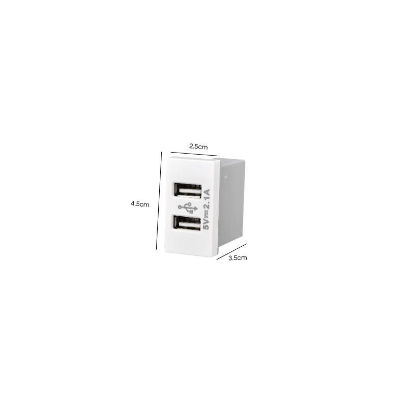 Modulo Doble Usb 250v Blanco PC SEC