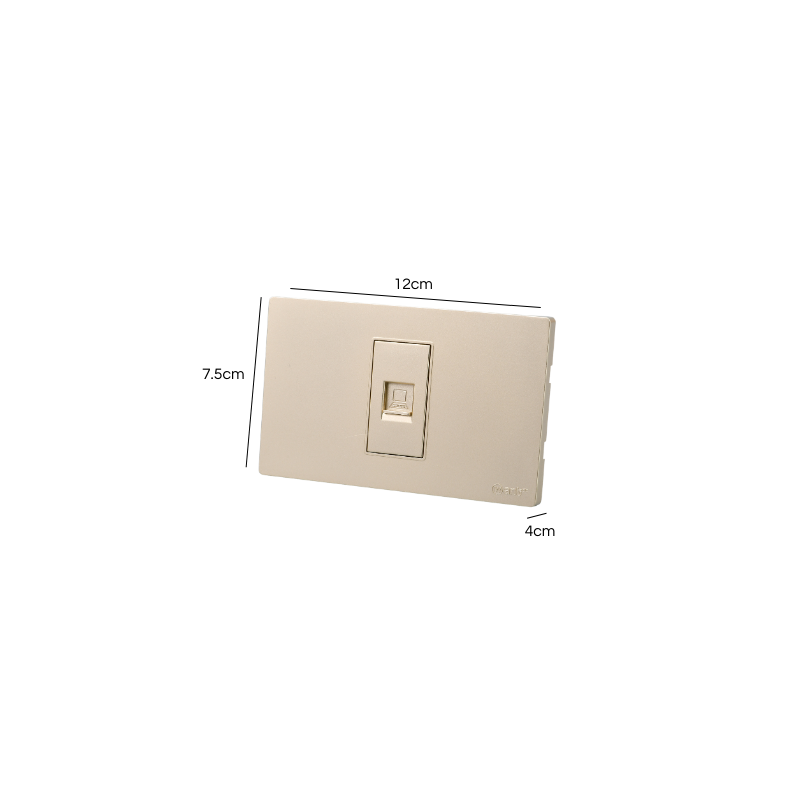 Toma Internet Puenteado Rj45 Dorado