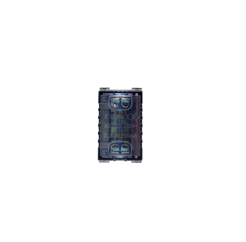 Modulo Toma Usb Doble 100-240V 5V Champagne