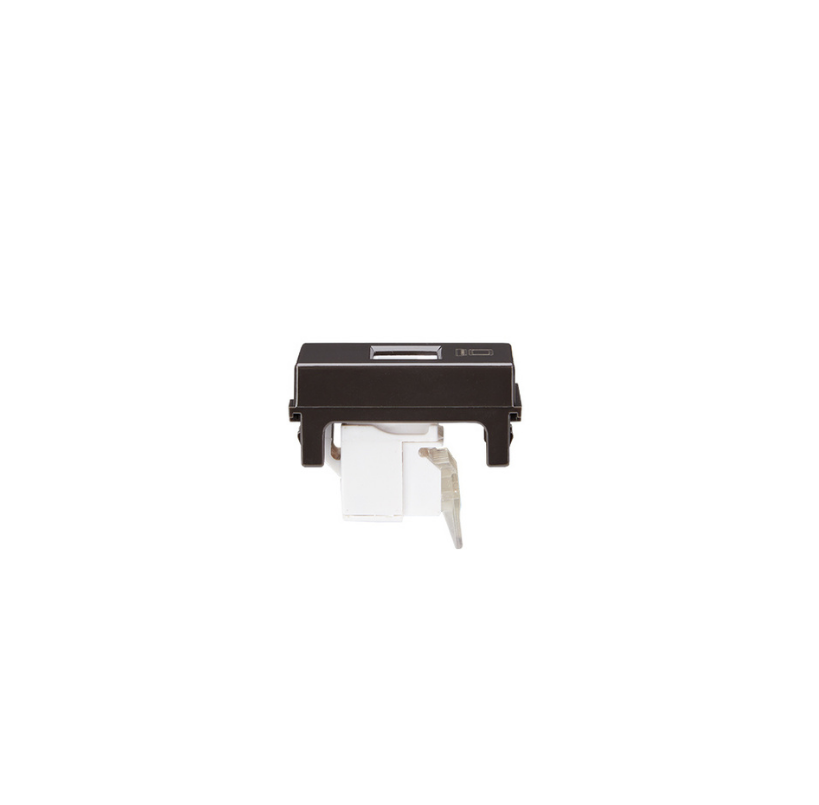 Modulo Toma Red Computacion RJ45/6E Café