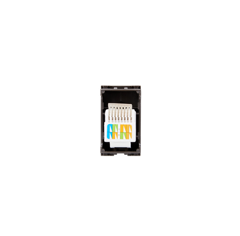 Modulo Toma Red Computacion RJ45/6E Café