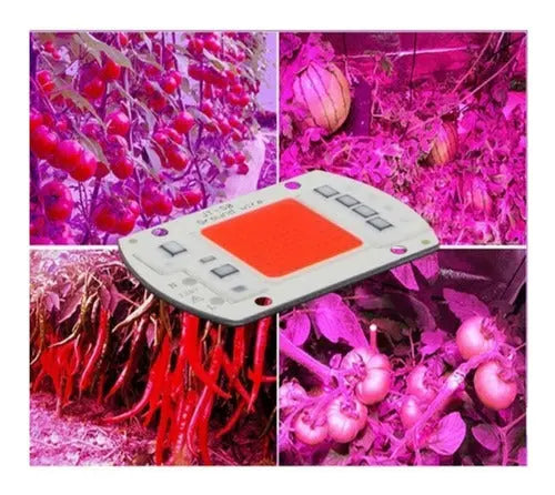 Led Cob 50w Full Spectrum Cultivo Lampara Indoor Growing