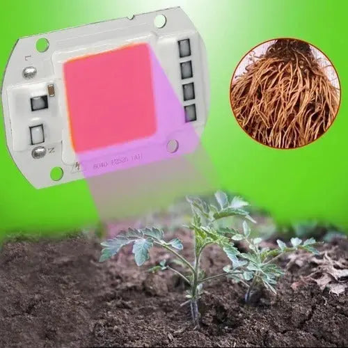 Led Cob 50w Full Spectrum Cultivo Lampara Indoor Growing