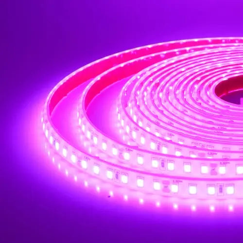 Cinta Led Impermeable Con Adhesivo 10 Metros + Cable 220v