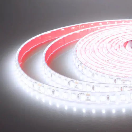 Cinta Led Impermeable Con Adhesivo 10 Metros + Cable 220v