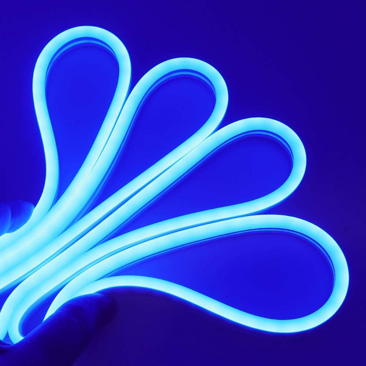 Cinta Led Neon Luz Azul 10 Metros + Conector Al 220v