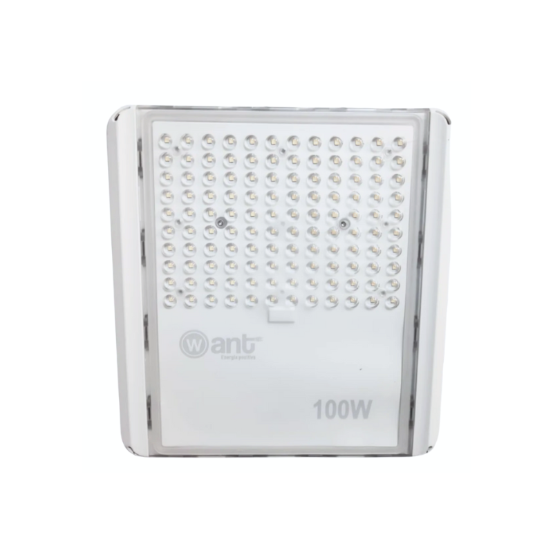 Foco Proyector de Area Moonlight 100W 5700K IK08 IP66 SEC