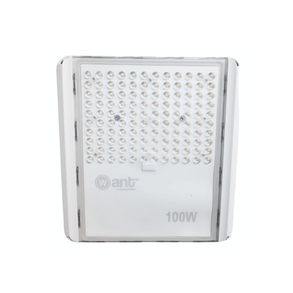 Foco Proyector de Area Moonlight 100W 5700K IK08 IP66 SEC