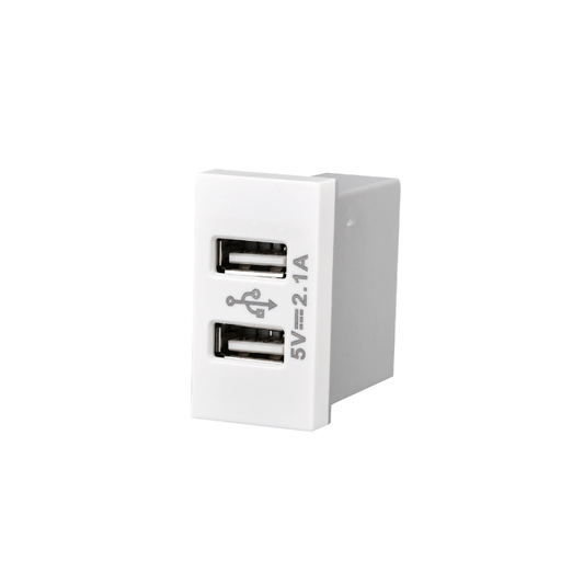 Modulo Doble Usb 250v Blanco PC SEC