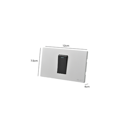 Interruptor Simple 9/24 16A Plateado/Negro