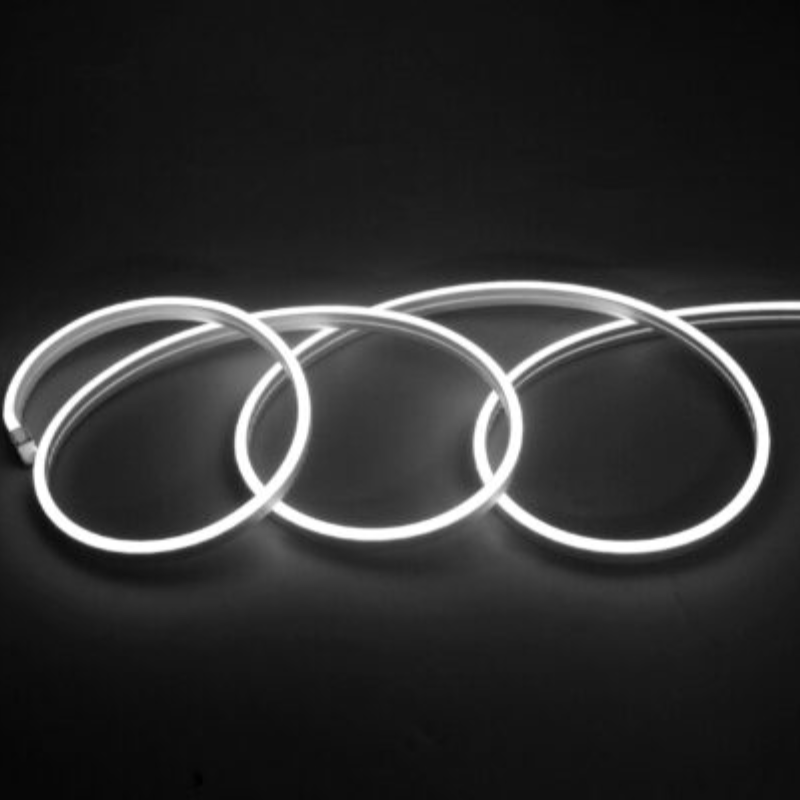 Cinta LED Neón 12V 5 Metros 120LED Blanca Fría 6500K SEC