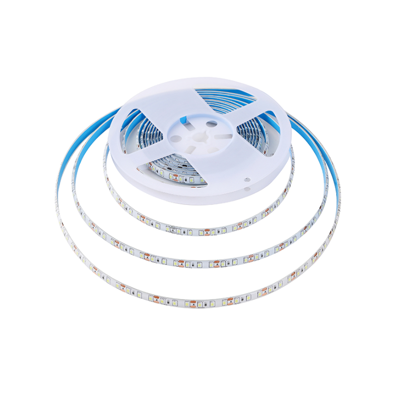 Cinta LED 12V 5 Metros 120LED 2835 Blanca Fría 6500K SEC