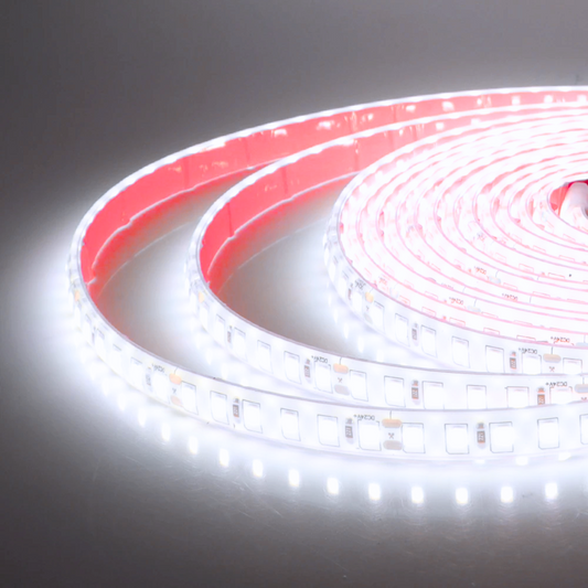 Cinta Led Impermeable Luz Blanca Fria con adhesivo 10 Metros + Conector Al 220v