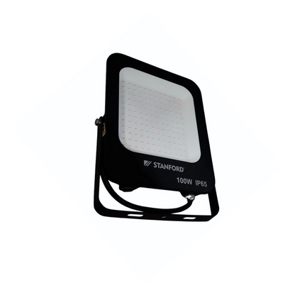 Foco Proyector de Area Profesional LED 100W IK07