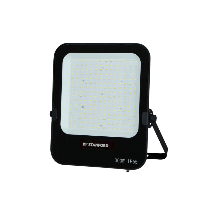 Foco Proyector de Area Profesional LED 300W IK07