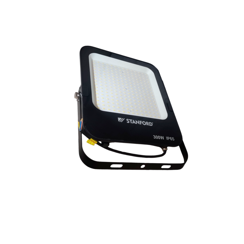 Foco Proyector de Area Profesional LED 300W IK07